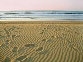 footsteps in sand